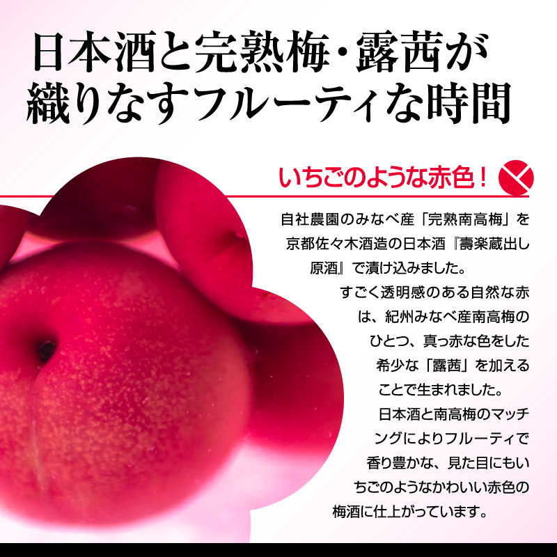 梅酒,お酒,壱,うめよし,和歌山