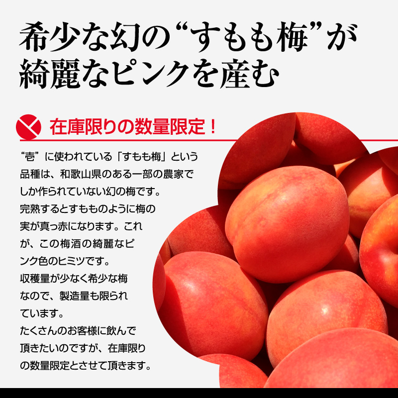 梅酒,お酒,壱,うめよし,和歌山