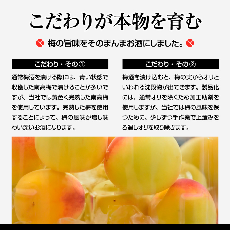 梅酒,お酒,壱,うめよし,和歌山