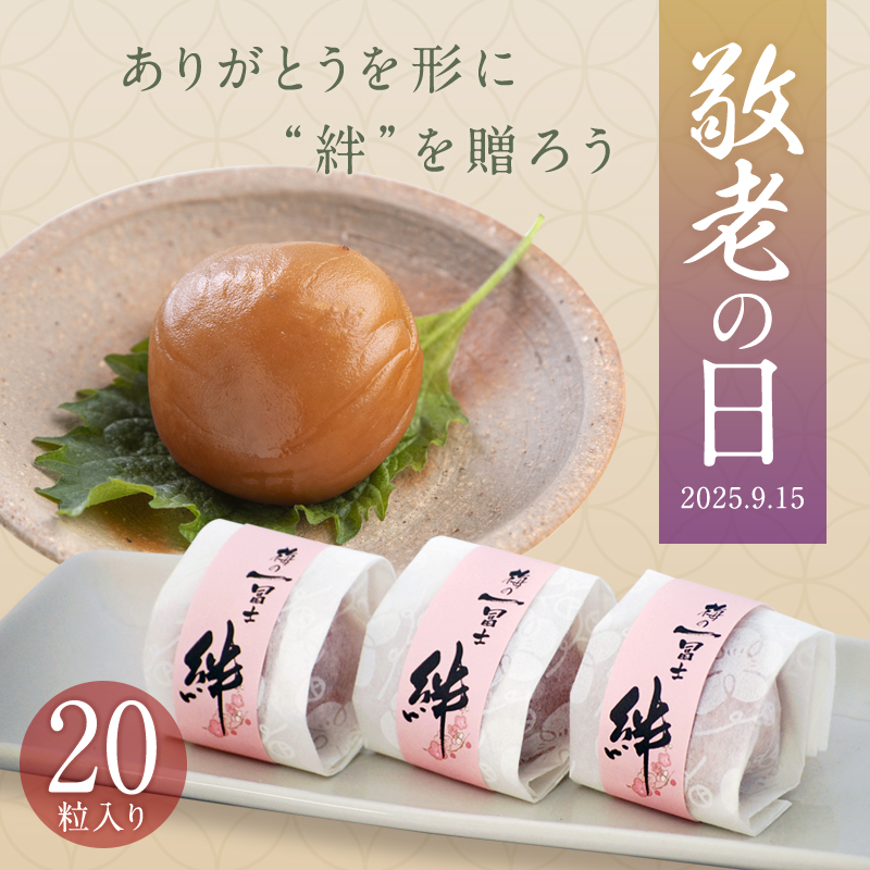 敬老の日,梅干し,紀州南高梅,健康,桐箱,個包装