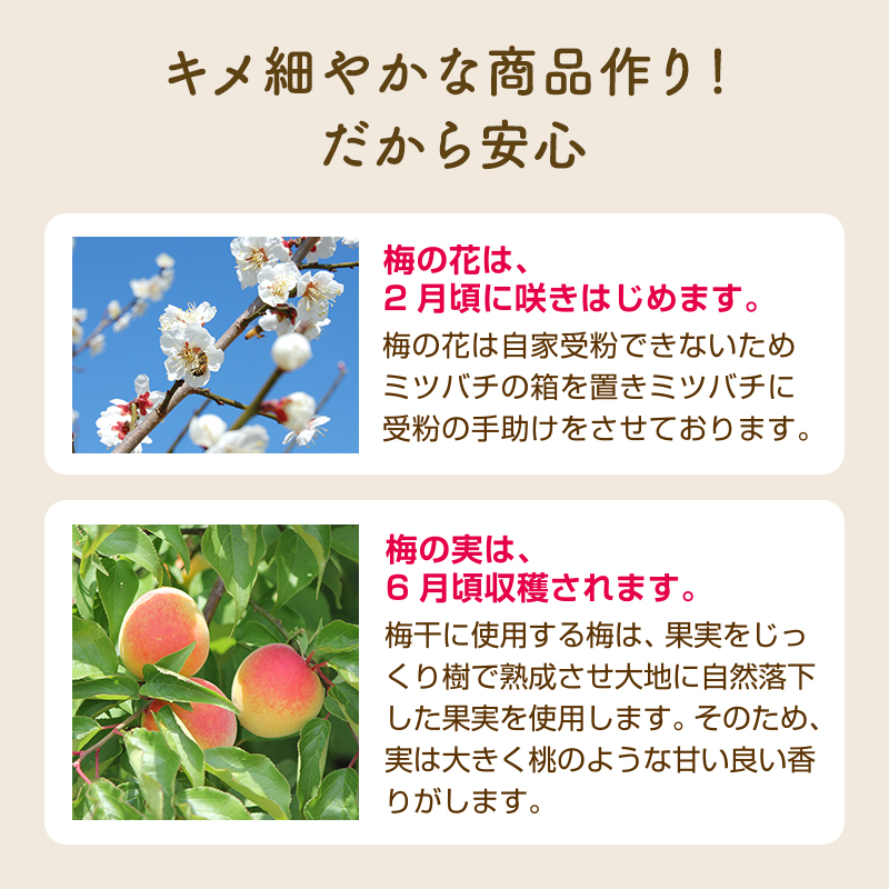 敬老の日,梅干し,紀州南高梅,健康,桐箱,個包装