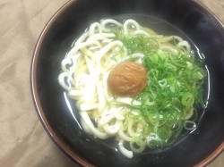 はちみつ梅,うどん