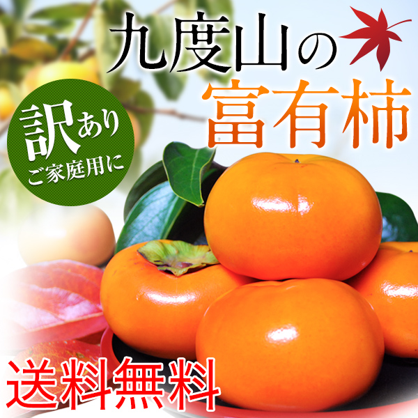 富有柿,かき,甘柿,九度山,送料無料