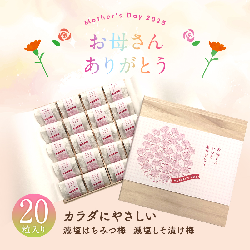 母の日ギフト,梅干し,紀州南高梅,健康,桐箱,個包装