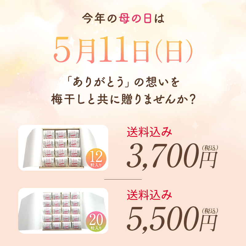 母の日ギフト,梅干し,紀州南高梅,健康,桐箱,個包装