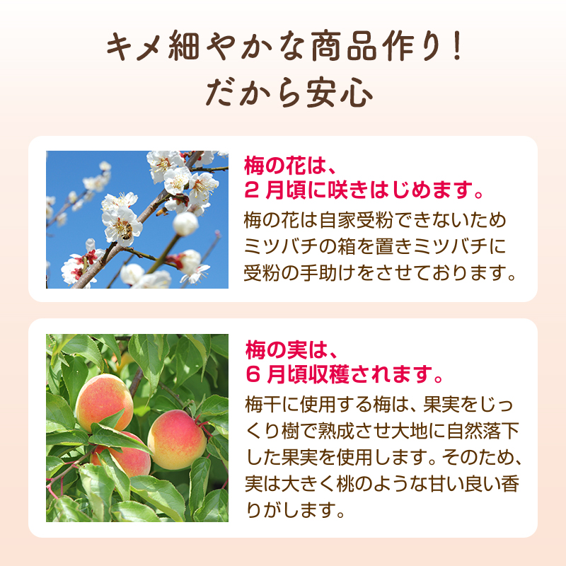 母の日ギフト,梅干し,紀州南高梅,健康,桐箱,個包装