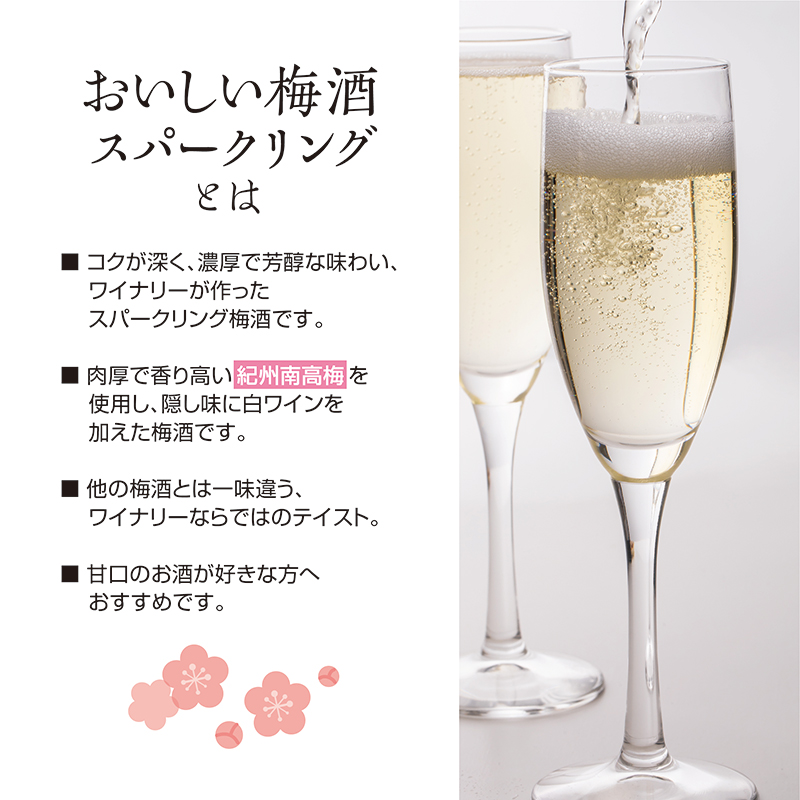 梅酒,スパークリング,白ワイン,お酒,湯浅ワイナリー,和歌山