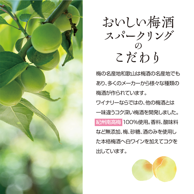 梅酒,スパークリング,白ワイン,お酒,湯浅ワイナリー,和歌山