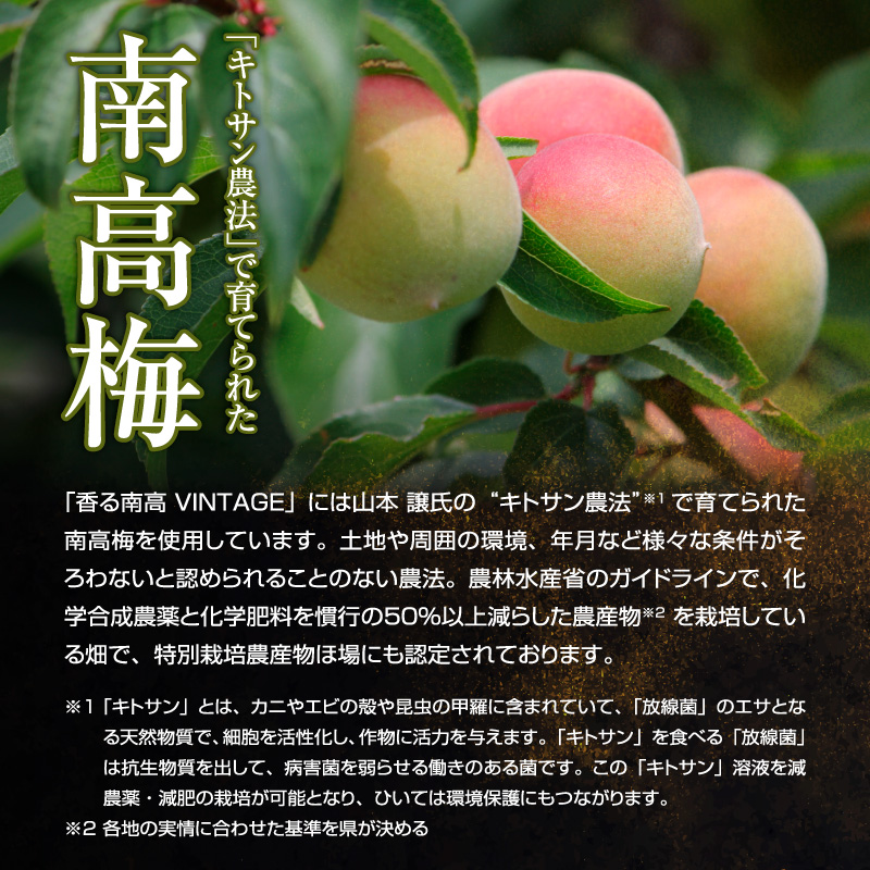 梅酒,お酒,香る南高,VINTAGE,中野BC,和歌山