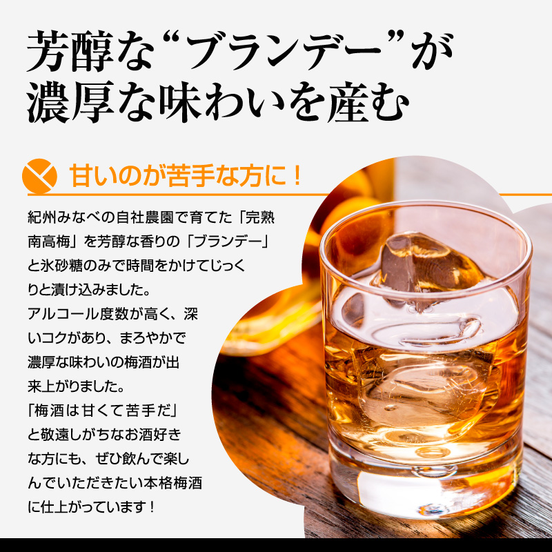 梅酒,お酒,善,うめよし,和歌山